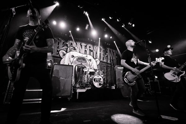 Amplifyphoto_Millencolin_917A0601