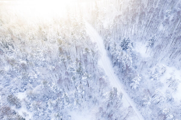 Vintrig skogsväg med snötäckta träd sett ovanifrån