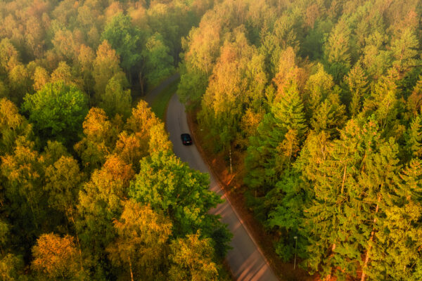 En ensam bil på en väg genom skogen sett från ovan